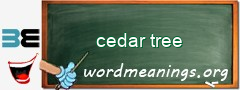 WordMeaning blackboard for cedar tree